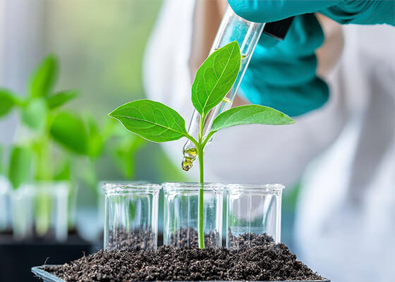 Ciências Biológicas