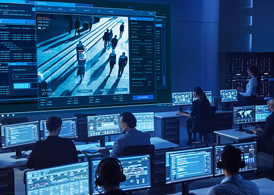 Gestão de Segurança Privada