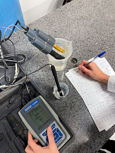 Laboratório de Ecologia Estrutural e Funcional de Ecossistema - LEEF