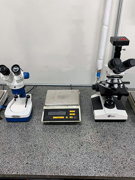 Laboratório de Ecologia Estrutural e Funcional de Ecossistema - LEEF