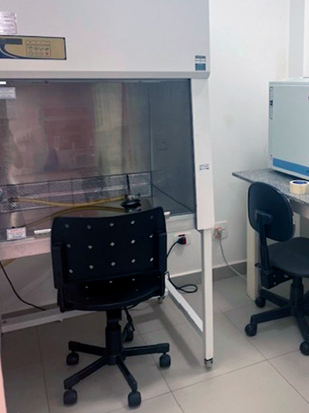 Laboratório de Biologia Molecular e Celular - Agentes Infecciosos